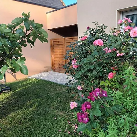 Bed and Breakfast Chasseport